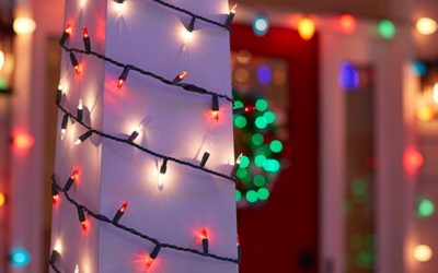 Types of Christmas Light Bulbs Bulbs